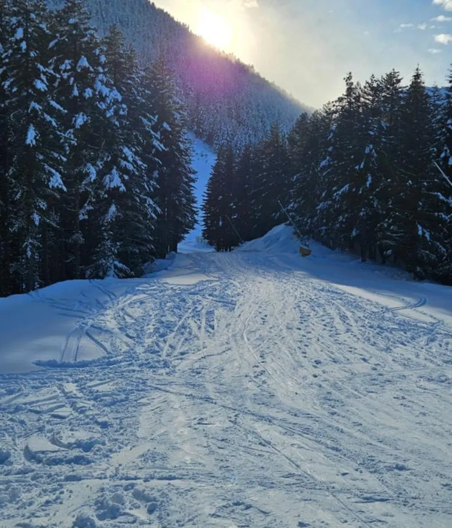 Four Seasons Apartment Bansko 0*,